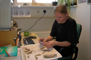 Im Labor für Paläobotanik und Paläoökologie in České Budějovice wurden die Knochen des Hundes von der Ketzelburg vermessen und untersucht.