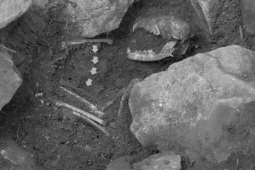 Vor dem Kopf des Hundes fand sich ein Knochen. Ging man anfangs von einer Grabbeigabe aus, so ergab die Analyse des Hundeskeletts, dass der Knochen zum linken Vorderbein des Hundes gehörte.