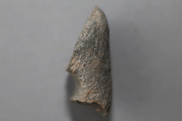 Fragment einer jungsteinzeitlichen Steinaxt vom Kloster Elisabethenzell, Fd.-Nr. 424, H. 2,7 cm, Br. 5,0 cm