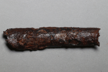 Fragment eines Striegels vom Kloster Elisabethenzell, 1. Drittel 14. Jh., Fd.-Nr. 556, H. 2,3 cm, Br. 10,0 cm