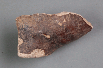 Fragment einer braun glasierten Aquamanile von der Burg Wahlmich, Deutschland (?), um 1250, Fd.-Nr. 215, H. 3,2 cm. Br. 5,2 cm