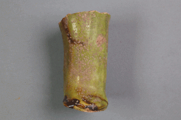 Fragment einer grün glasierten Aquamanile von der Burg Wahlmich, Deutschland (?), um 1250, Fd.-Nr. 215, H. 5,7 cm. Br. 3,1 cm