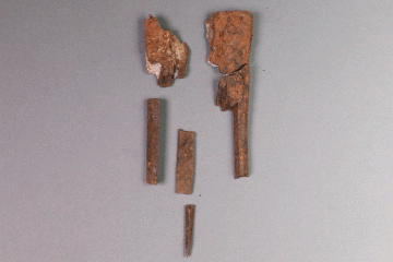 Die Fragmente von Langzinkenkämmen wurden in drei Schnitten ergraben. Zusammen mit Spinnwirteln belegen sie die Herstellung von Textilien auf der Burg Wahlmich.