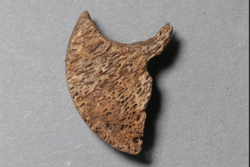 Nuss einer Armburst aus Hirschgeweih, Untermain, um 1250, Waldaschaff, Burg Wahlmich, Fd.-Nr. 183, H. 2.8 cm, Br. 2,2 cm, T. 0,7 cm