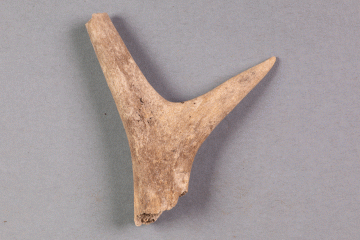 Fragment eines Hirschgeweihs vom Kugelberg bei Goldbach, Spessart, zweites Drittel 12. Jahrhundert, Fz.-Nr. 176b, H. 8,3 cm, Br. 6,2 cm