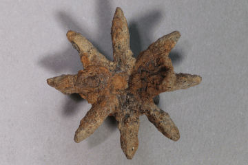 Rädchen eines Sporns aus Eisen von der Burg Mömbris, Unterfranken, letztes Drittel 14. Jh., Fd.-Nr. 020, H. 4,3 cm, Br. 4,6 cm