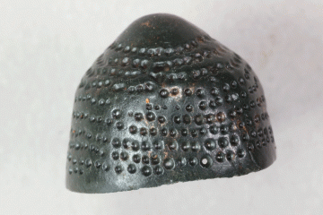 Fingerhut aus Buntmetall von der Burg Mömbris, Nürnberg ?, Anfang 14. Jahrhundert., Fd.-Nr. 426, H. 1,29 cm, Br. 1,66 cm