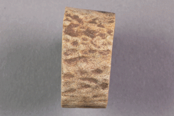 Halbfabrikat aus Knochen vom Gotthardsberg, Unterfranken, 14. Jahrhundert, Fd.-Nr. 1037, H. 21,40 cm, Br. 3,00 cm