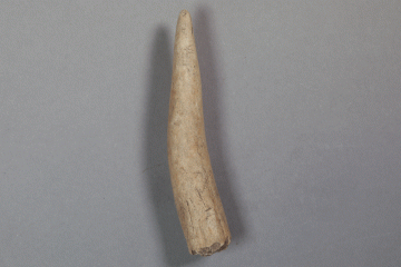 Halbfabrikat aus Knochen vom Gotthardsberg, Unterfranken, 11. Jahrhundert, Fd.-Nr. 1446, H. 9,4 cm, Br. 1,8 cm
